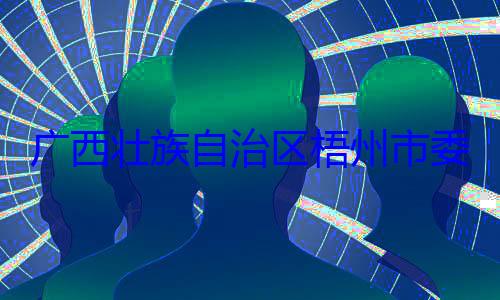 委副书记广西壮族自治区梧州市被查市长李振品